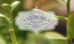 Growing Gently